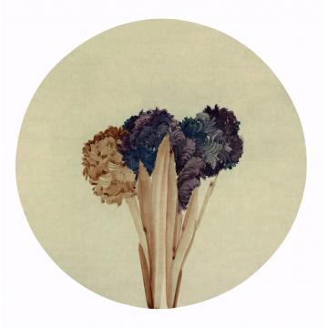 边平山国画花鸟团扇-风信子系列字画之家