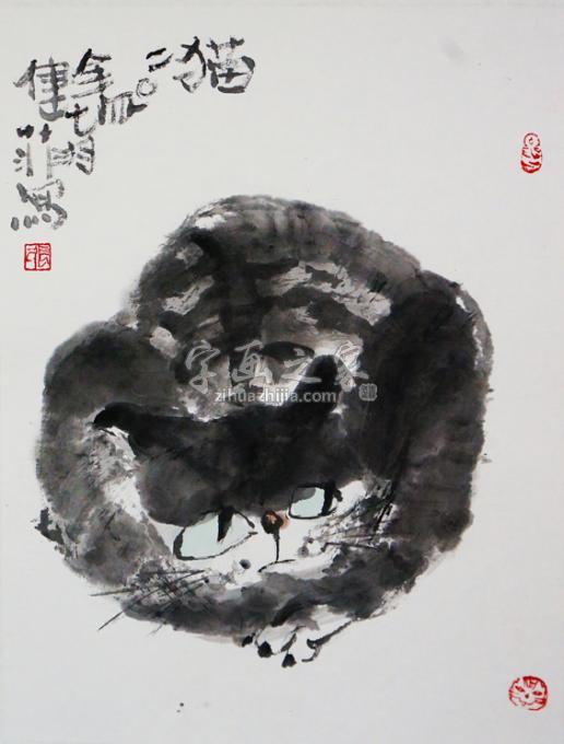 国画家张健菲字画之家