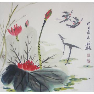 白世杰国画花鸟映日荷花字画之家