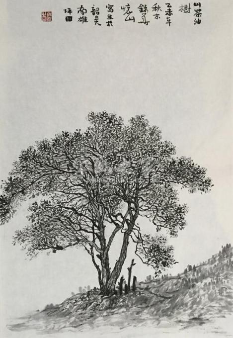 国画家谢锦华字画之家