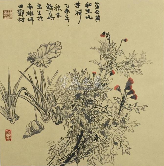 国画家谢锦华字画之家