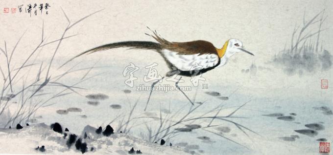 国画家冯涛字画之家
