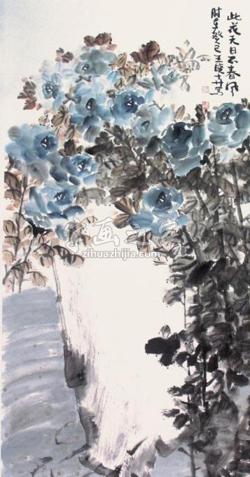 国画家王晓卉字画之家
