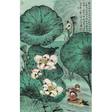 钱行健国画花鸟荷花鸳鸯字画之家