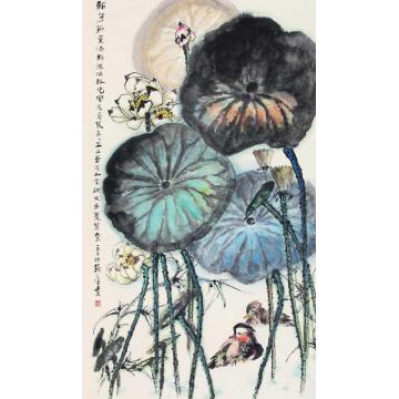 钱行健国画花鸟荷花鸳鸯字画之家