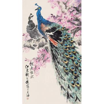 钱行健国画花鸟孔雀字画之家
