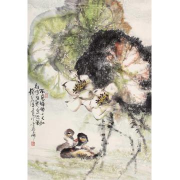 钱行健国画花鸟荷塘双禽字画之家