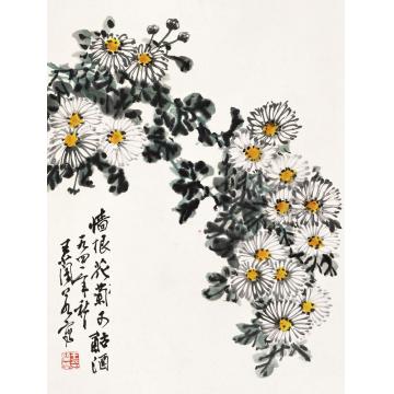 王兰若国画花鸟墙根菊花可酤酒字画之家