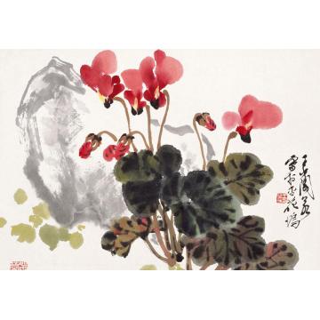 王兰若国画花鸟仙客来字画之家