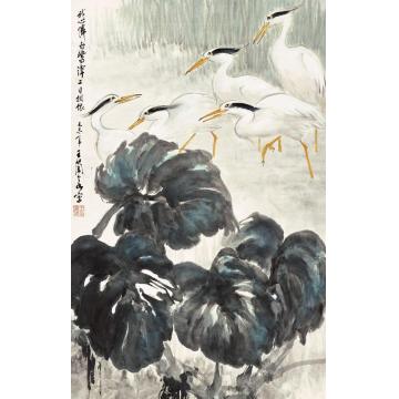 王兰若国画花鸟白鹭字画之家