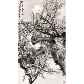王兰若国画花鸟明月梅花字画之家