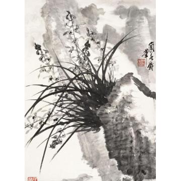 王兰若国画花鸟石上幽兰字画之家