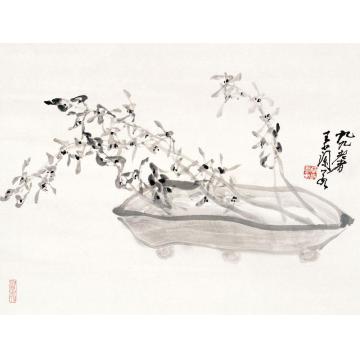 王兰若国画花鸟清供字画之家