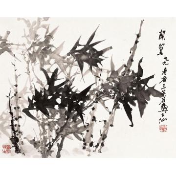 王兰若国画花鸟新篁字画之家