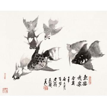 王兰若国画花鸟鱼乐我乐字画之家