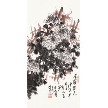 王兰若国画花鸟东蓠佳色字画之家