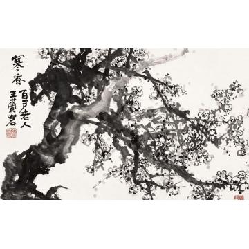 王兰若国画花鸟寒香字画之家