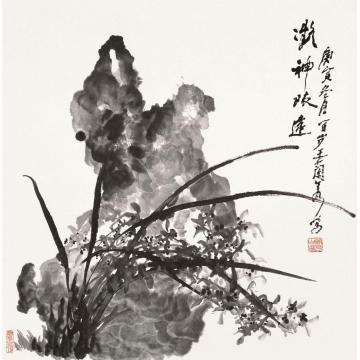 王兰若国画花鸟凝神致远字画之家