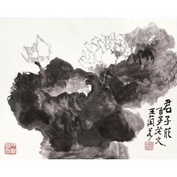 王兰若国画花鸟君子花字画之家
