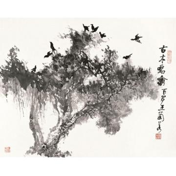 王兰若国画花鸟古木鸣禽字画之家