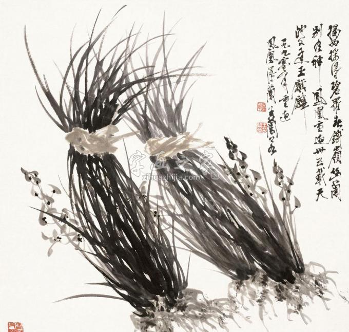 国画家王兰若字画之家