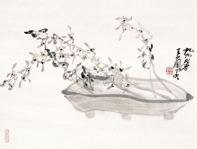 国画家王兰若字画之家