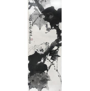 何洵瑶国画花鸟芙蓉字画之家