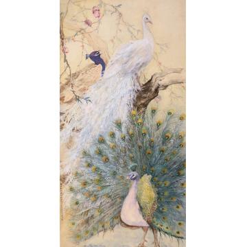 何洵瑶国画花鸟孔雀字画之家