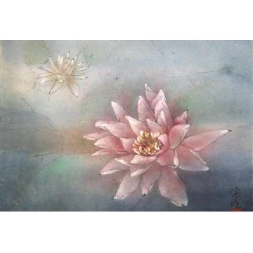 何洵瑶国画花鸟睡蓮字画之家