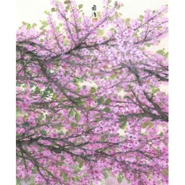 董希源国画花鸟樱花字画之家