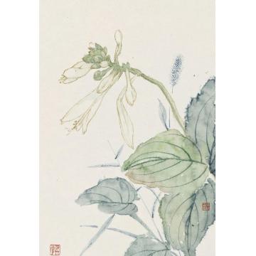 宋秦晋国画花鸟花卉小品字画之家