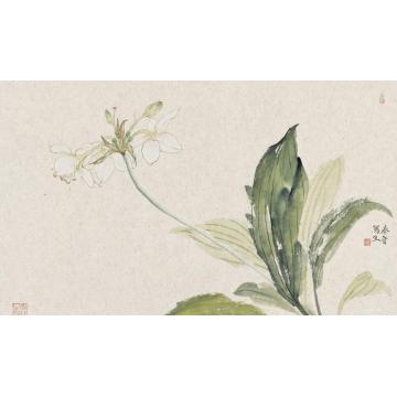 宋秦晋国画花鸟洋水仙字画之家