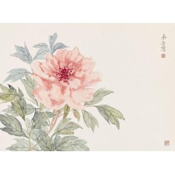 宋秦晋国画花鸟春去无意字画之家