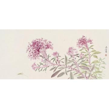 宋秦晋国画花鸟鸡冠花字画之家
