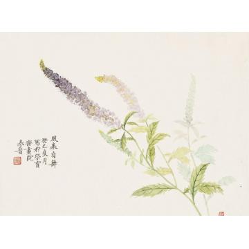 宋秦晋国画花鸟风来自舞字画之家