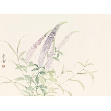 宋秦晋国画花鸟无题字画之家