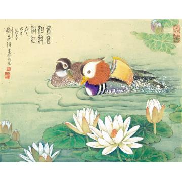 刘菊清国画花鸟鸳鸯相对浴红衣字画之家