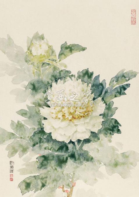 国画家刘菊清字画之家