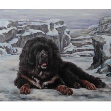林跃油画动物风雪藏獒NO.5字画之家