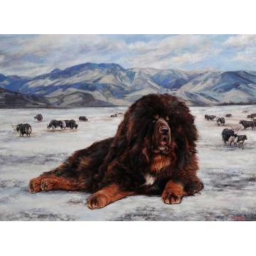 林跃油画动物风雪藏獒NO.13字画之家