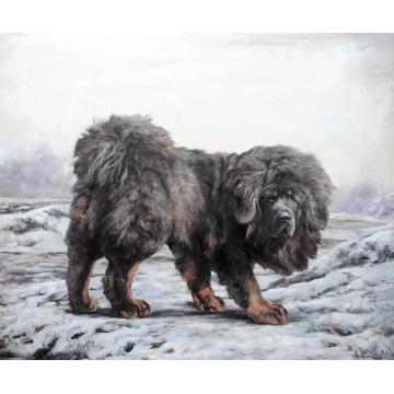林跃油画动物风雪藏獒NO.16字画之家