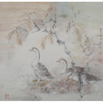 张静伯国画花鸟工笔系列002字画之家
