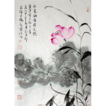 孔宪江国画花鸟秋来残花艳字画之家