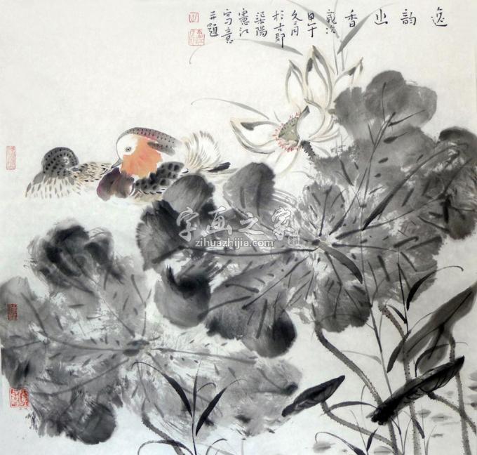 国画家孔宪江字画之家