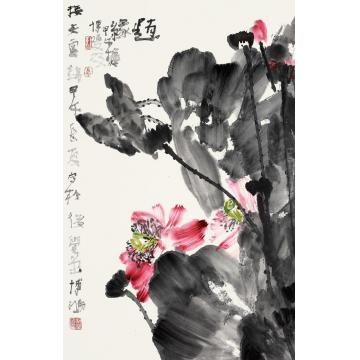 贾博鸿国画花鸟接天云锦字画之家