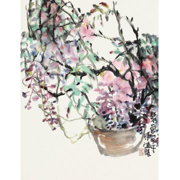 贾博鸿国画花鸟紫云字画之家