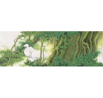 崔志安国画花鸟老林润白鹭字画之家