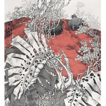 崔志安国画花鸟双侣字画之家
