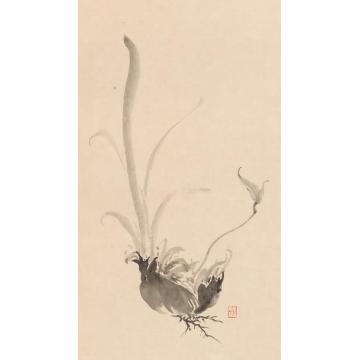 黄梦洁国画花鸟活色生香(5)字画之家