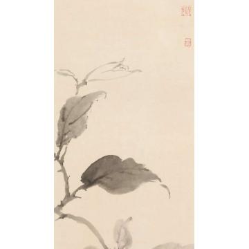 黄梦洁国画花鸟活色生香(6)字画之家
